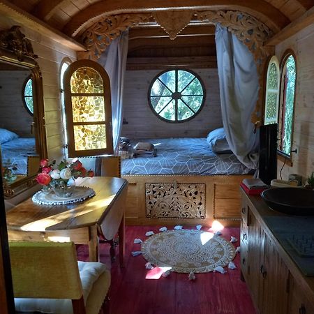 La Roulotte Du Petit Paradis Saint-Rémy-de-Provence Buitenkant foto