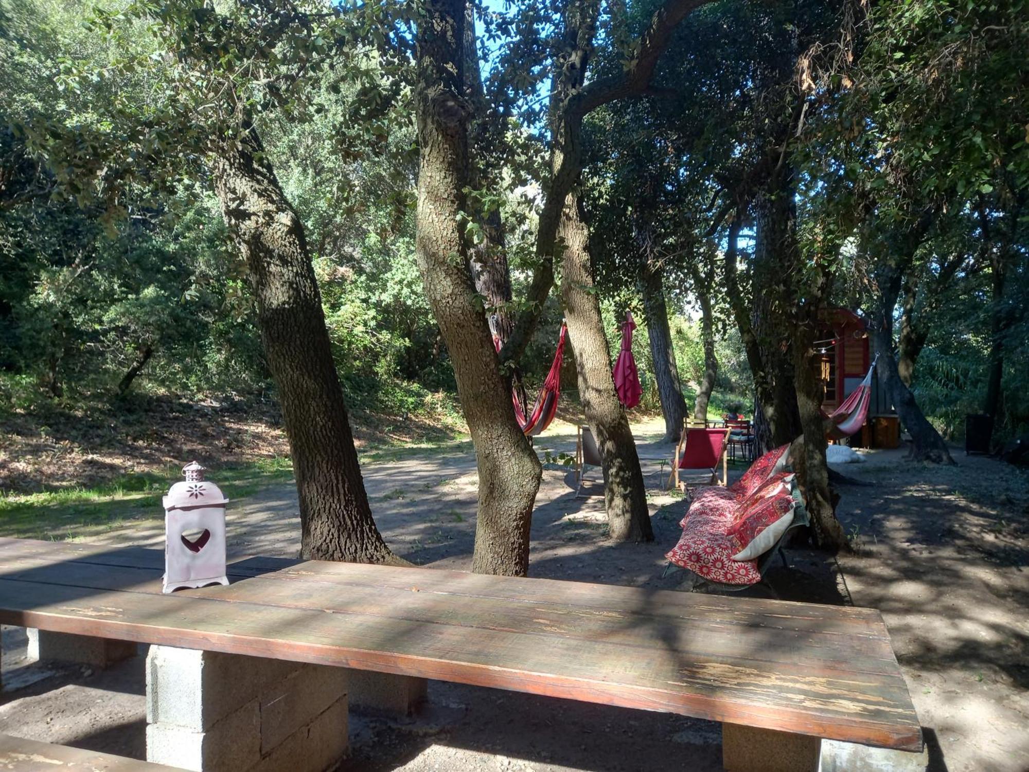 La Roulotte Du Petit Paradis Saint-Rémy-de-Provence Buitenkant foto