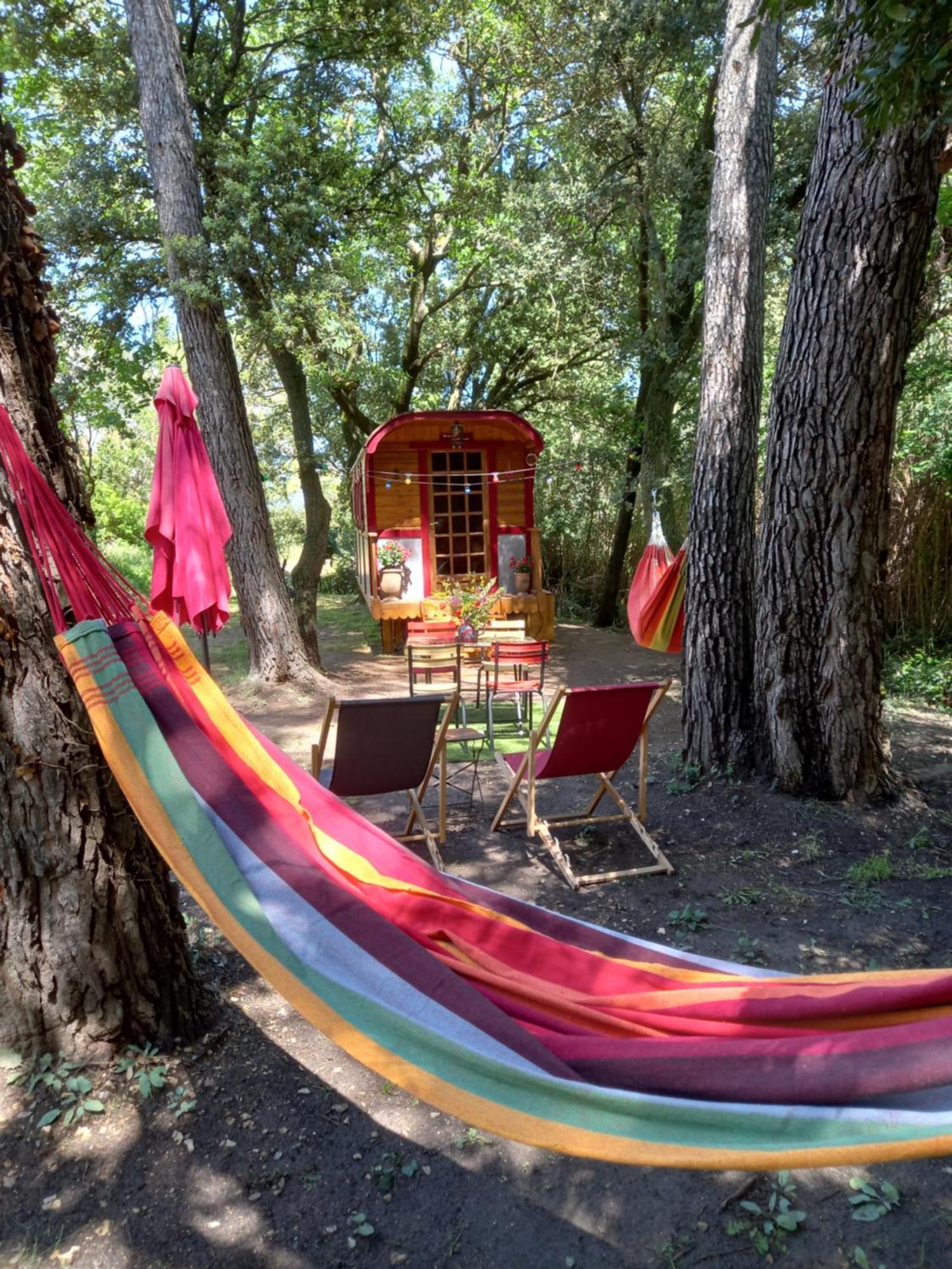 La Roulotte Du Petit Paradis Saint-Rémy-de-Provence Buitenkant foto