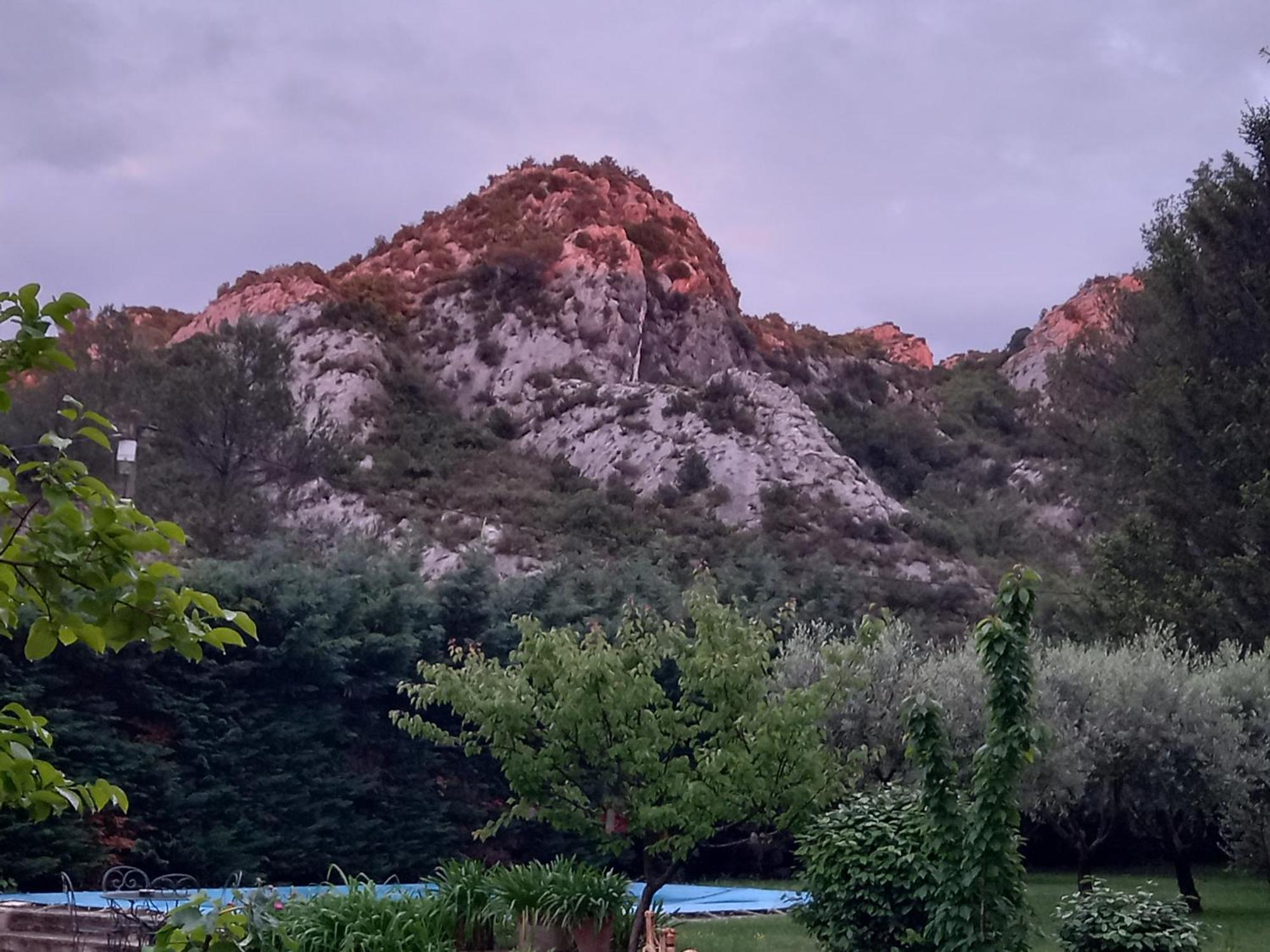 La Roulotte Du Petit Paradis Saint-Rémy-de-Provence Buitenkant foto