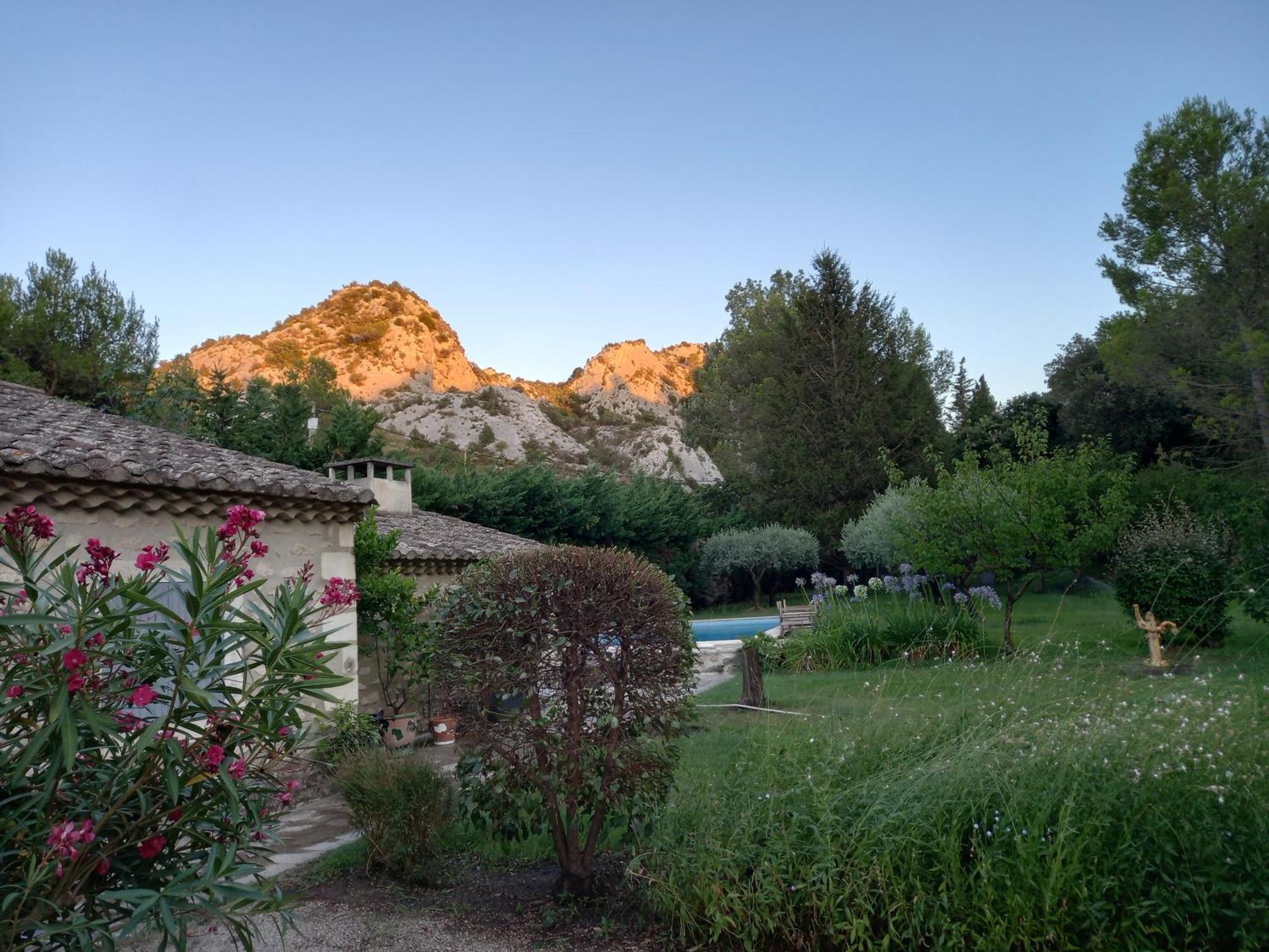 La Roulotte Du Petit Paradis Saint-Rémy-de-Provence Buitenkant foto