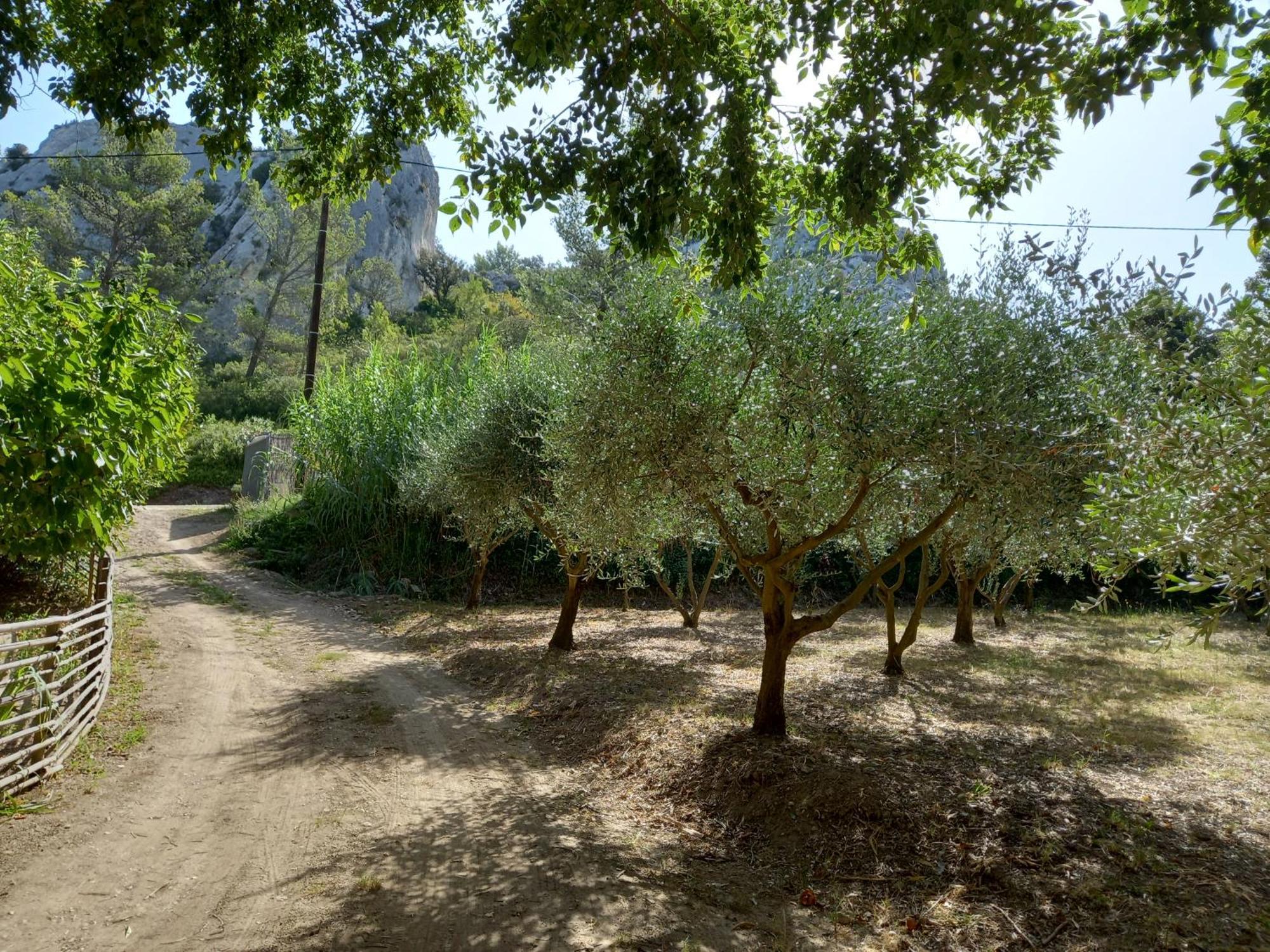 La Roulotte Du Petit Paradis Saint-Rémy-de-Provence Buitenkant foto